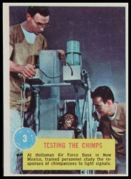 3 Testing the Chimps
